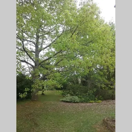 Maison De Charme, Pyrenees, Jardin, Piscine